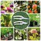 2 Pieces Premium garden shears, meperez pruning scissors gardening tools, pruners for flower, bushes, rose and fruit tree, use for florist, yard and orchard the plant clippers, sharp white steel anvil snips, 2